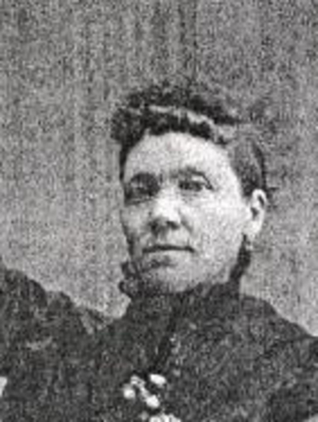 Emily Kelly (1845 - 1934) Profile